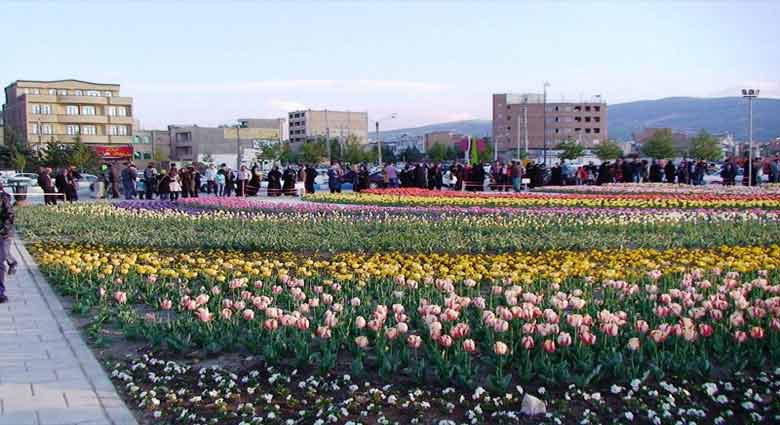 آشنایی با گل های سازگار با آب و هوای شهر ارومیه
